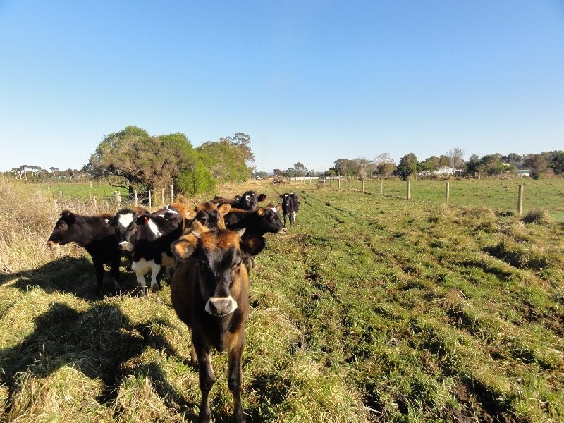 287 Grip Rd, Toora VIC 3962