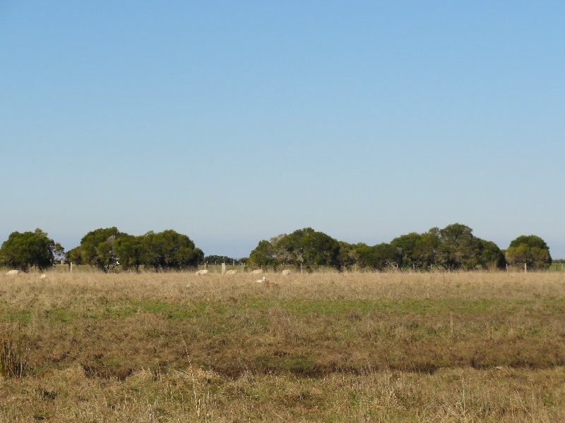 287 Grip Rd, Toora VIC 3962