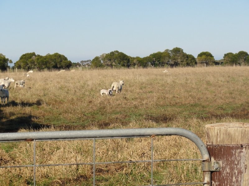 287 Grip Rd, Toora VIC 3962