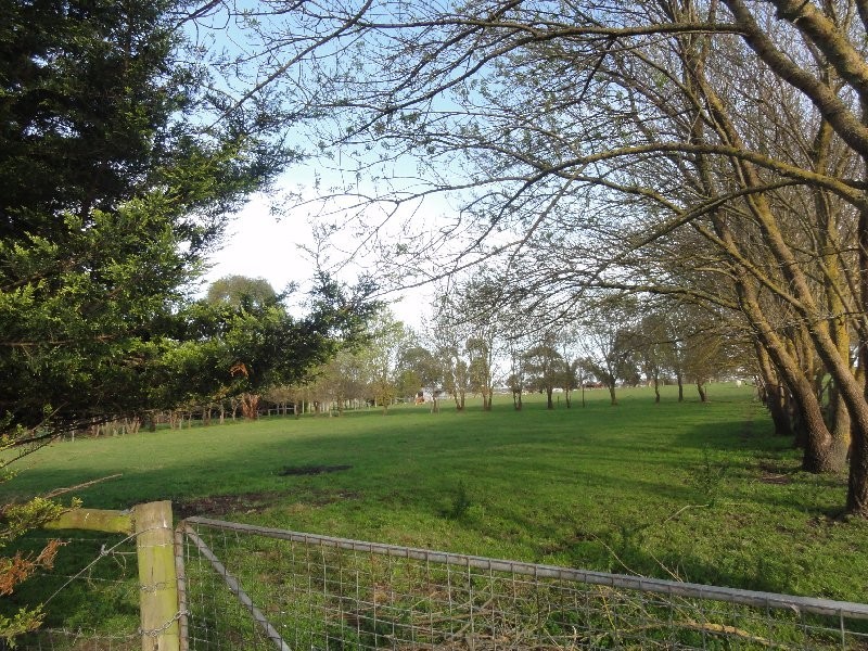20 Bucklands Rd, Toora VIC 3962