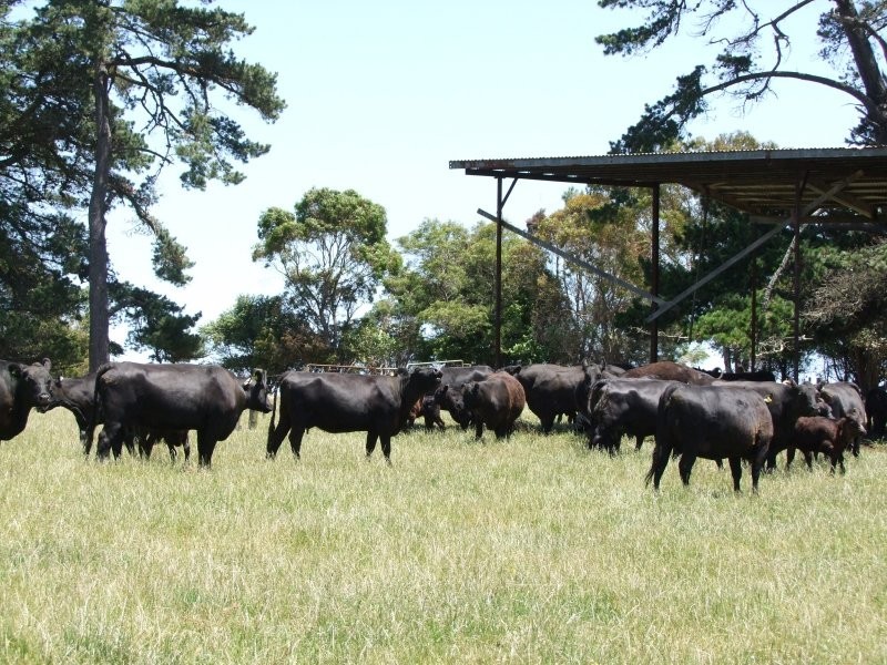 . Twomeys Road, Mardan VIC 3953