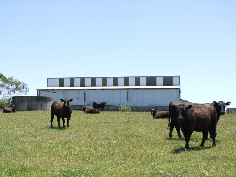 . Twomeys Road, Mardan VIC 3953