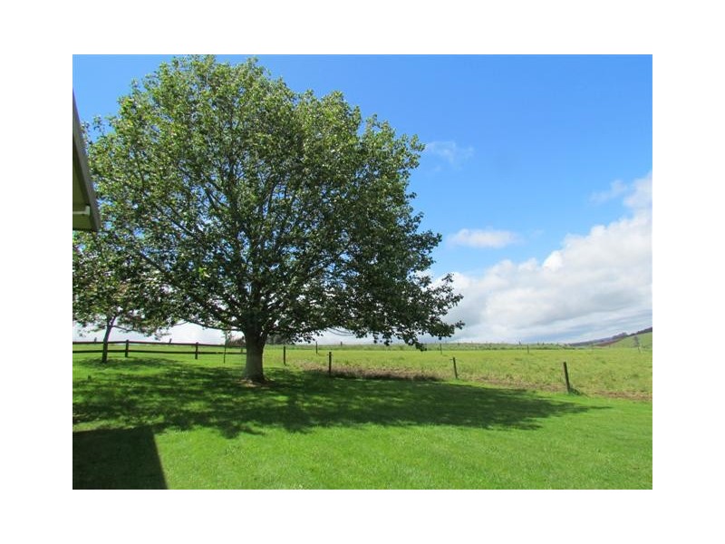 141 Chute Road, Thorpdale VIC 3835