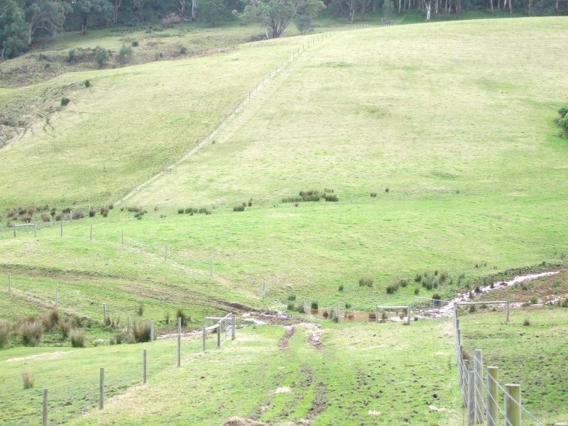 Mirboo North VIC 3871