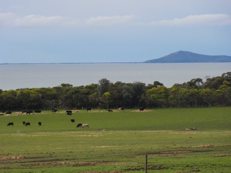 2615 Meeniyan Promontory Rd, Yanakie VIC 3960