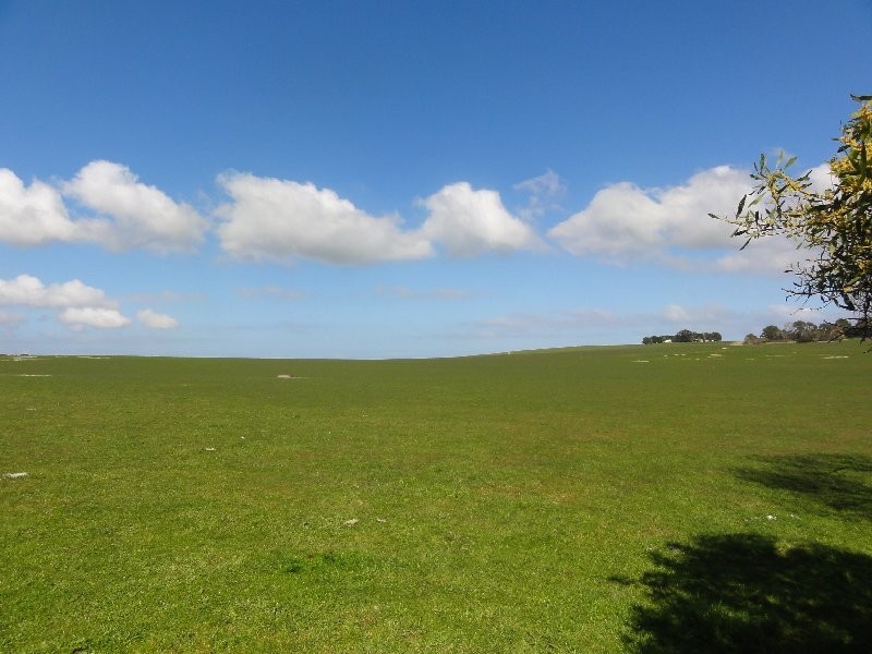 2615 Meeniyan Promontory Rd, Yanakie VIC 3960