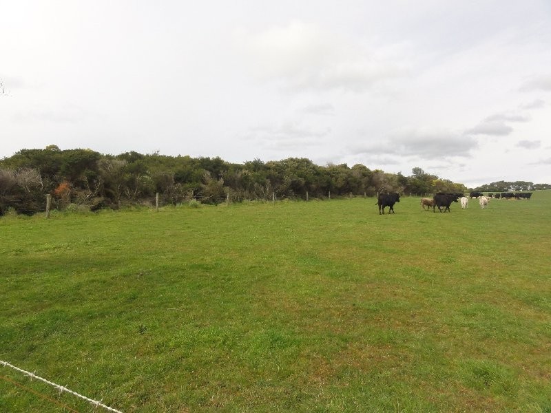 2615 Meeniyan Promontory Rd, Yanakie VIC 3960