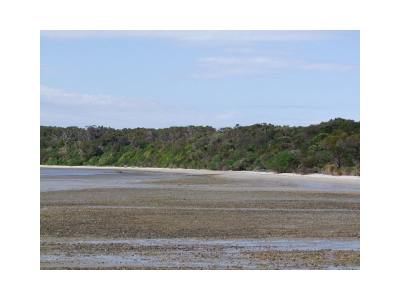 2615 Meeniyan Promontory Rd, Yanakie VIC 3960