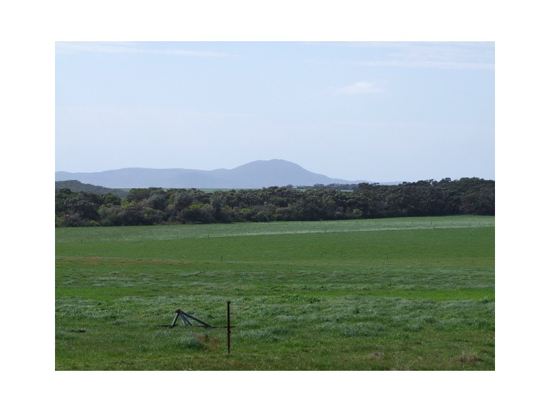 2615 Meeniyan Promontory Rd, Yanakie VIC 3960