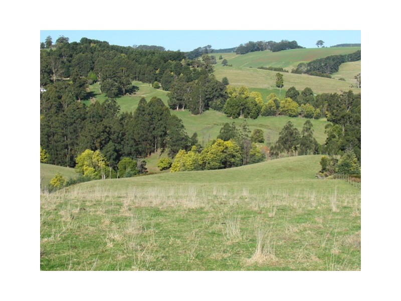 146 Allambee South Road, Thorpdale VIC 3835