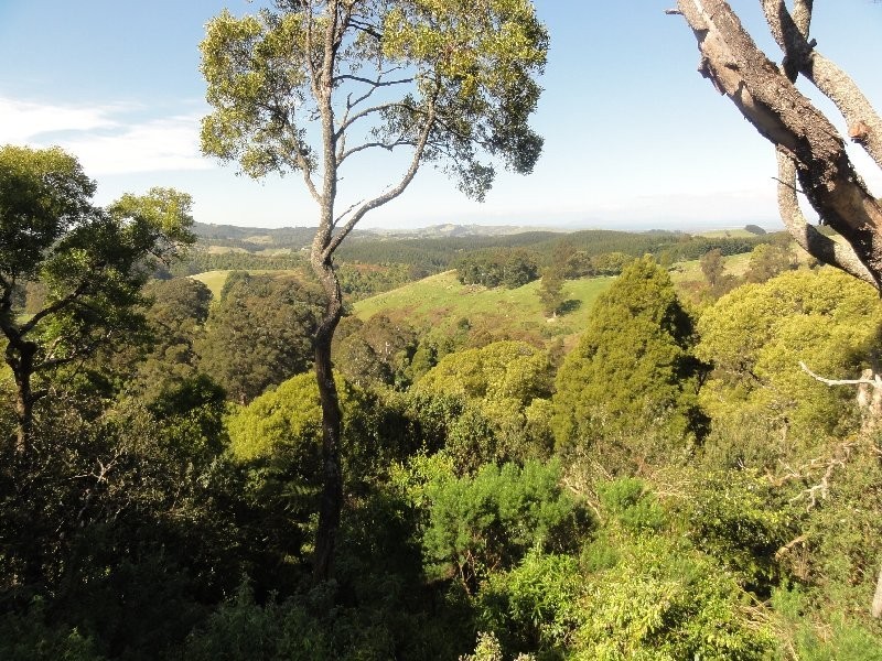 480 Mirboo Foster Rd, Foster VIC 3960