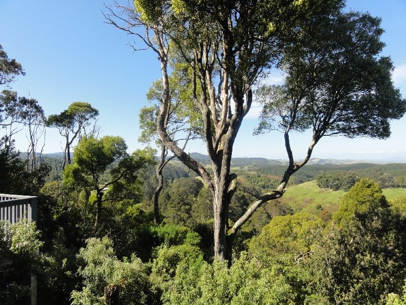 480 Mirboo Foster Rd, Foster VIC 3960