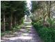 175 Shellcotts Road, Yanakie VIC 3960
