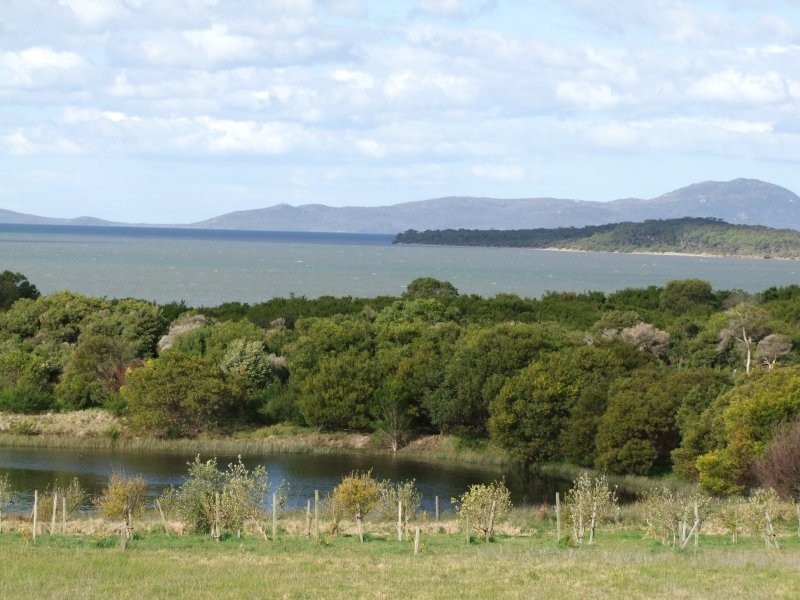 175 Shellcotts Road, Yanakie VIC 3960