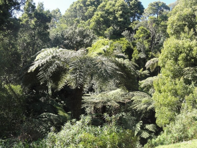 478 Foster Mirboo Rd, Foster VIC 3960