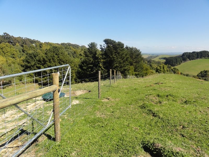 478 Foster Mirboo Rd, Foster VIC 3960