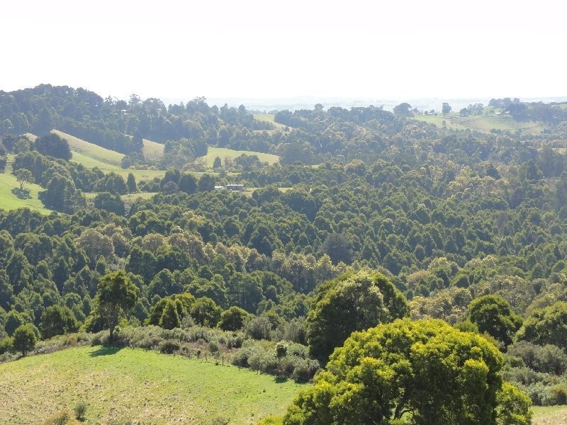 478 Foster Mirboo Rd, Foster VIC 3960