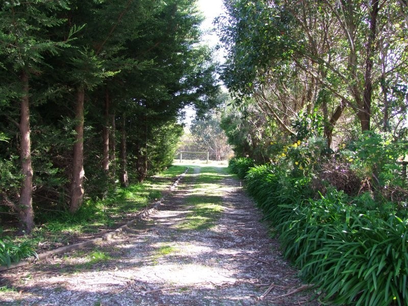 175 Shellcotts Road, Yanakie VIC 3960