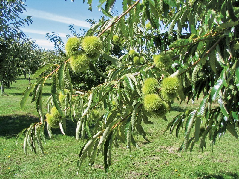 33 School House Road, Fumina VIC 3825