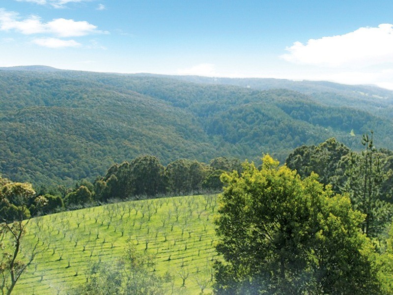 33 School House Road, Fumina VIC 3825