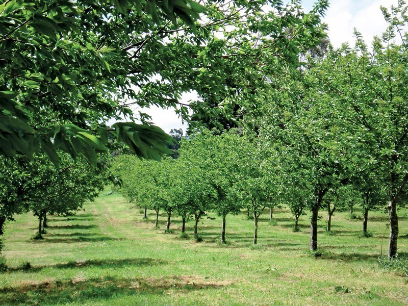 33 School House Road, Fumina VIC 3825