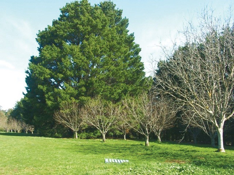 33 School House Road, Fumina VIC 3825