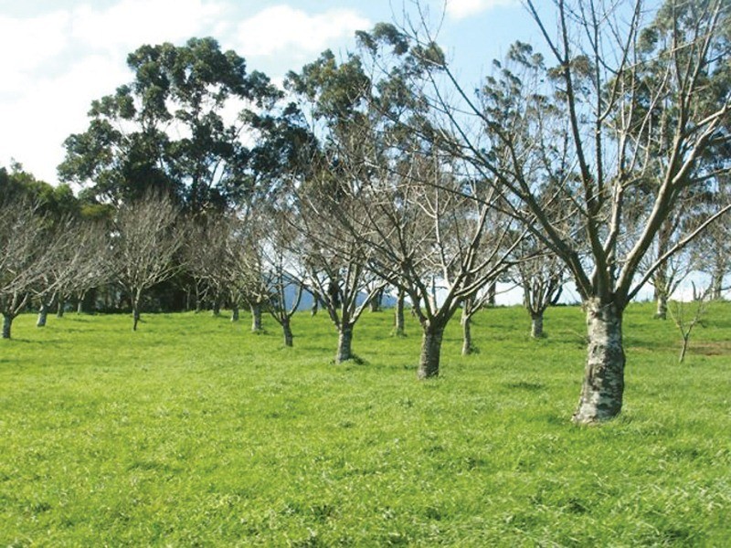 33 School House Road, Fumina VIC 3825