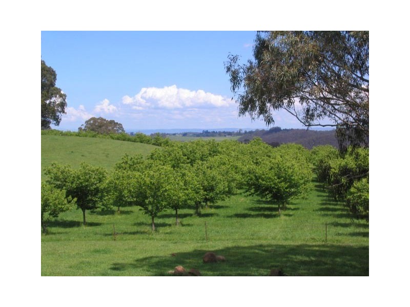 33 School House Road, Fumina VIC 3825