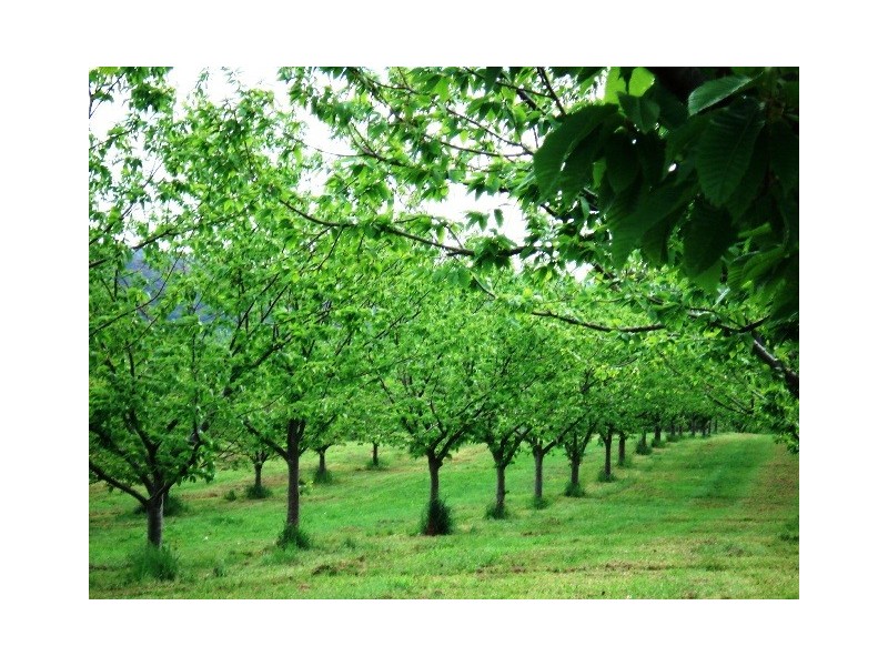 33 School House Road, Fumina VIC 3825