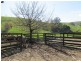90 Grandridge Road, Seaview VIC 3821