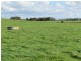 95 A R Gardner Road, Longwarry VIC 3816