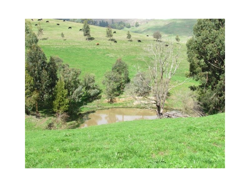 590 Yarragon Leongatha Road, Yarragon VIC 3823