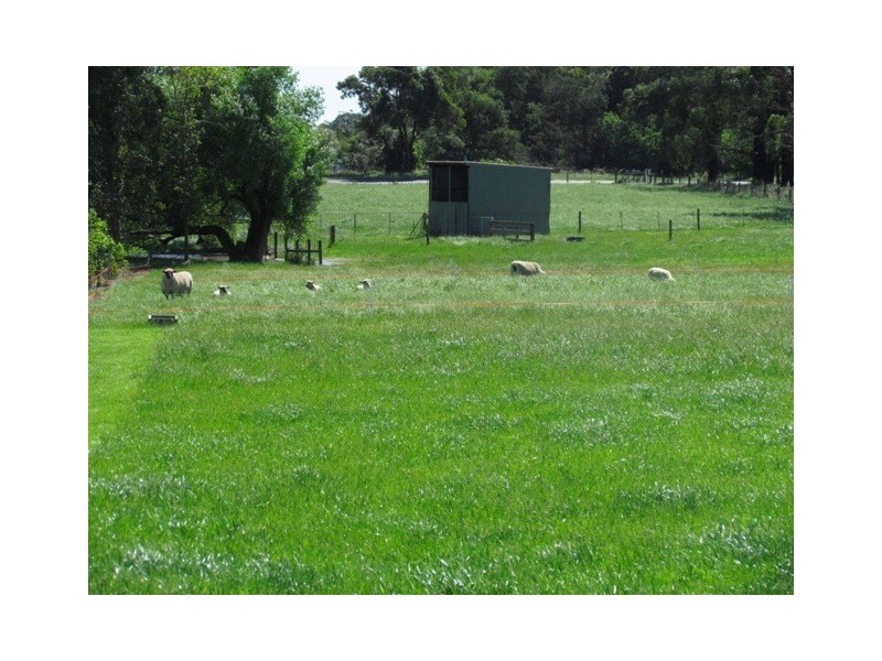 306 Stuhrs Road, Darnum VIC 3822