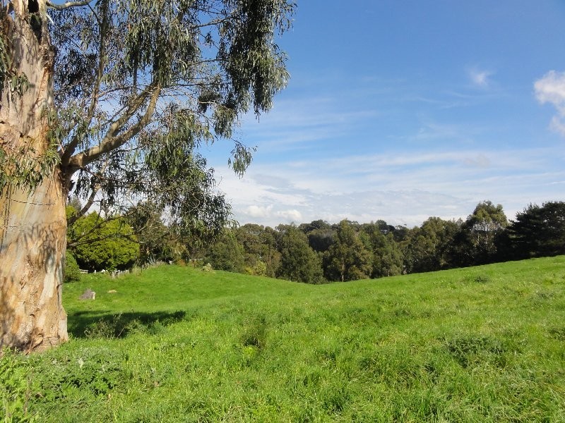 5 Sheedy Road, Fish Creek VIC 3959