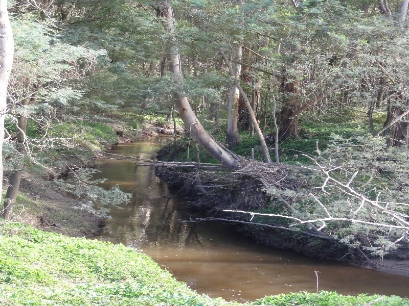 5 Sheedy Road, Fish Creek VIC 3959