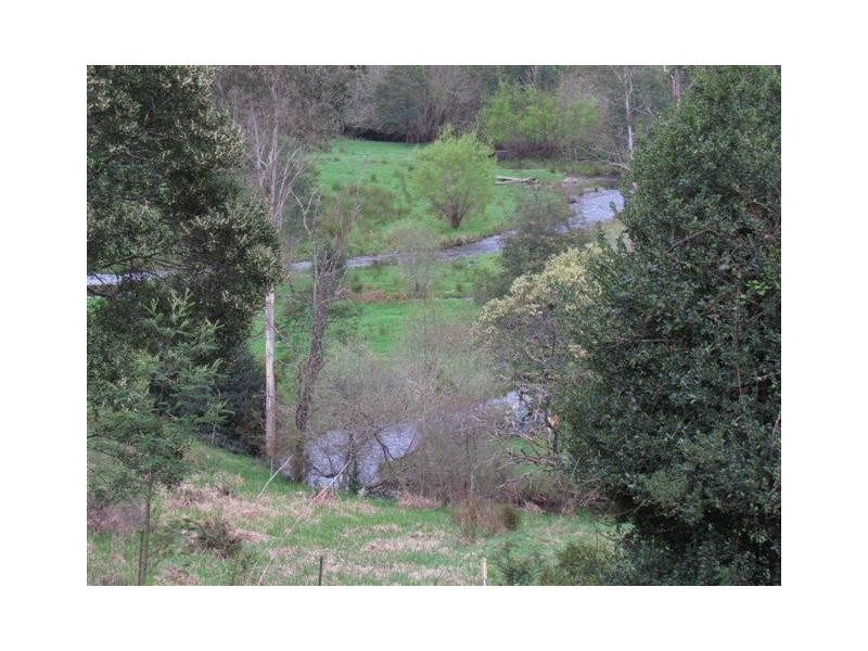 295 Toorongo Valley Road, Noojee VIC 3833