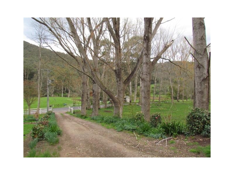 295 Toorongo Valley Road, Noojee VIC 3833
