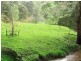 . Berrys Creek Road, Berrys Creek VIC 3953