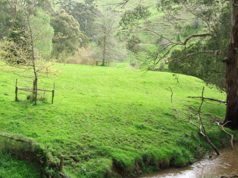 . Berrys Creek Road, Berrys Creek VIC 3953