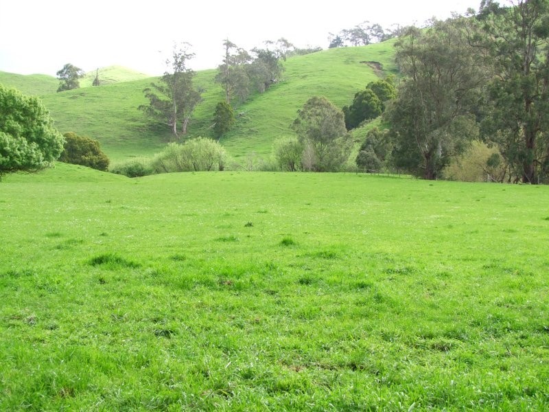 . Berrys Creek Road, Berrys Creek VIC 3953