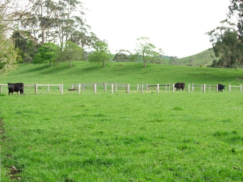 . Berrys Creek Road, Berrys Creek VIC 3953