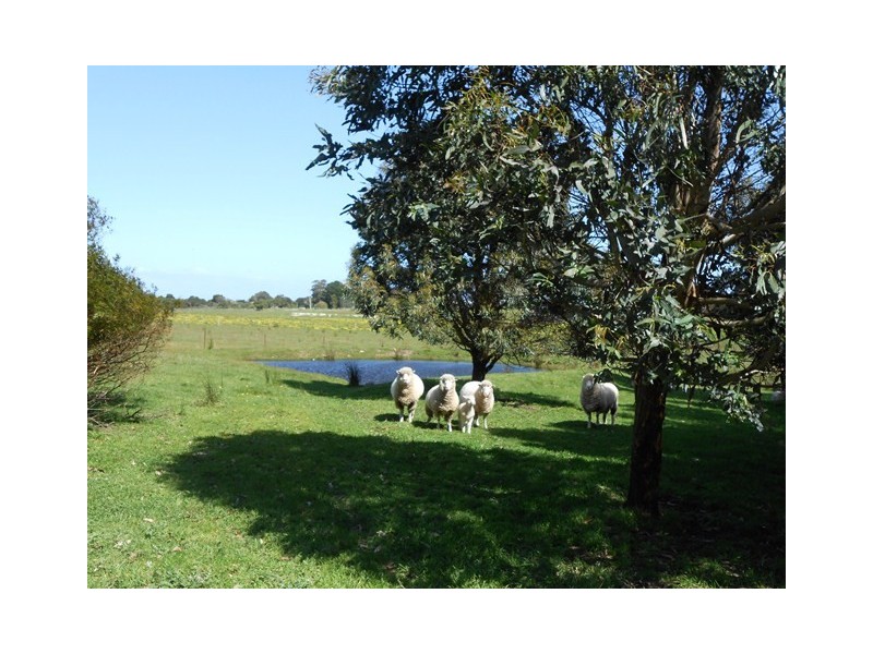 75 Shellcott Road, Yanakie VIC 3960
