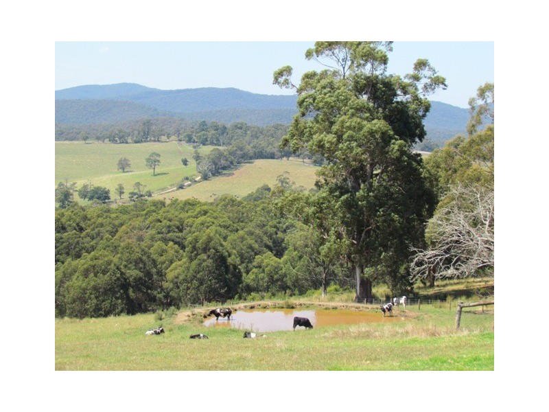 Lot 1 Willow Grove Road, Hill End VIC 3825