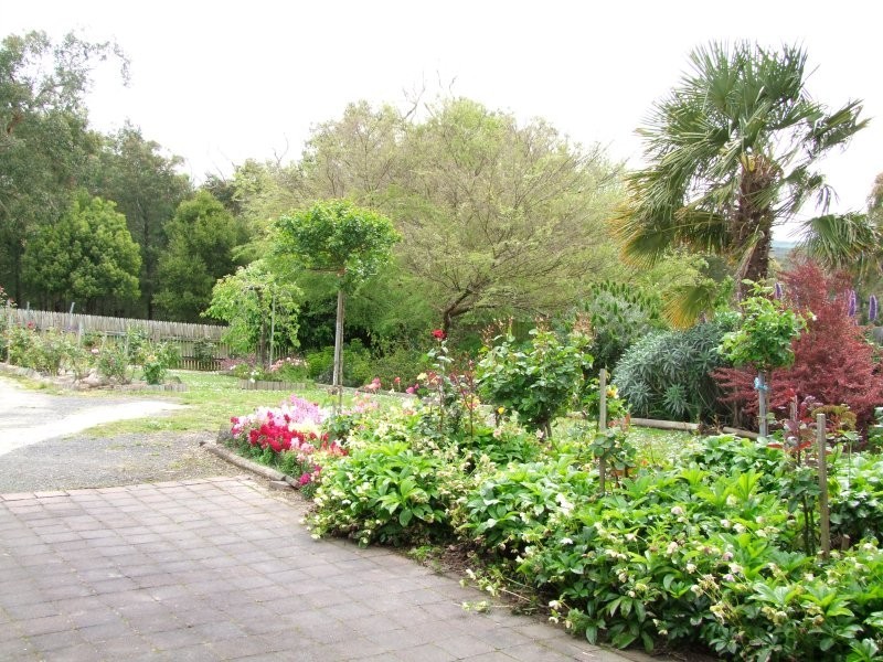 17-19 Brendan Street, Meeniyan VIC 3956