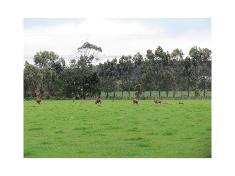 147 Yarragon-Shady Creek Road, Yarragon VIC 3823