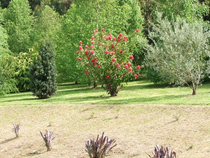 2500 Grand  Ridge Road, Hallston VIC 3953