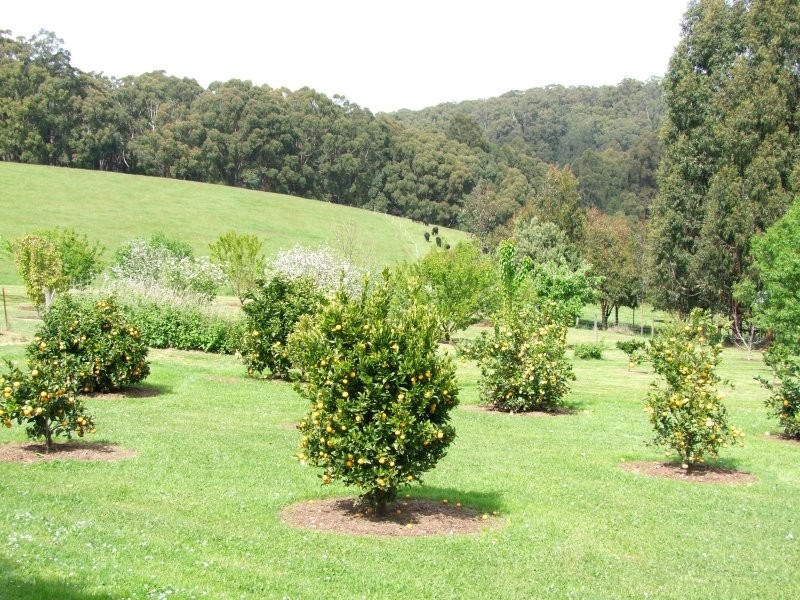 2500 Grand  Ridge Road, Hallston VIC 3953