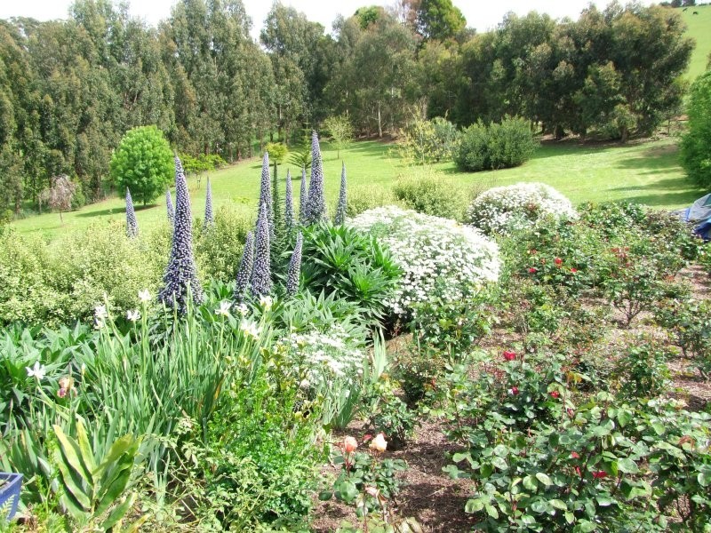 2500 Grand  Ridge Road, Hallston VIC 3953