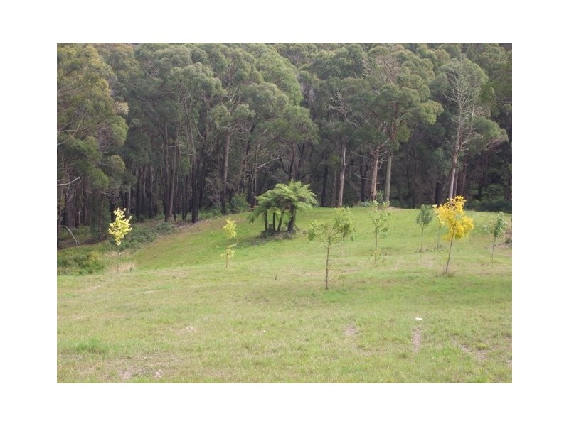 Lot 2, 7, 9 Happy Go Lucky Road, Walhalla VIC 3825