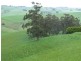 91 Mountain View – McDonalds Track, Mountain View VIC 3988